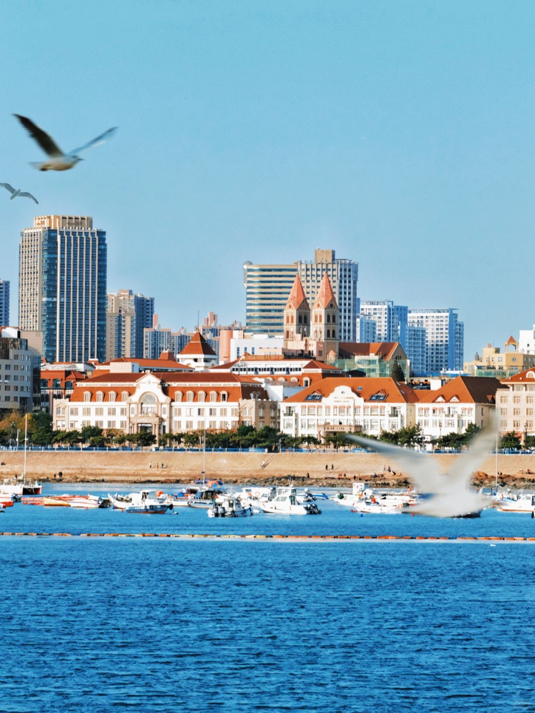 若有人说青岛冬天不美，就给他看这18张照片