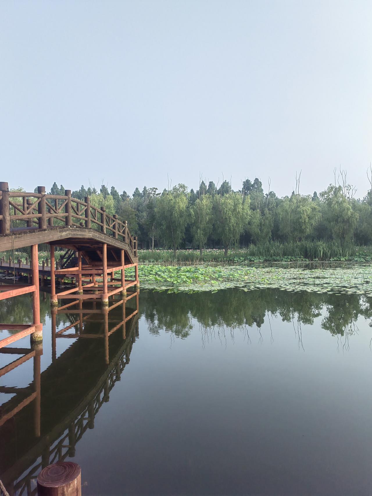 我向“蝙蝠侠”转变实录
今天是我被蝙蝠咬的第四天，今天一直都在发低烧（35°1）