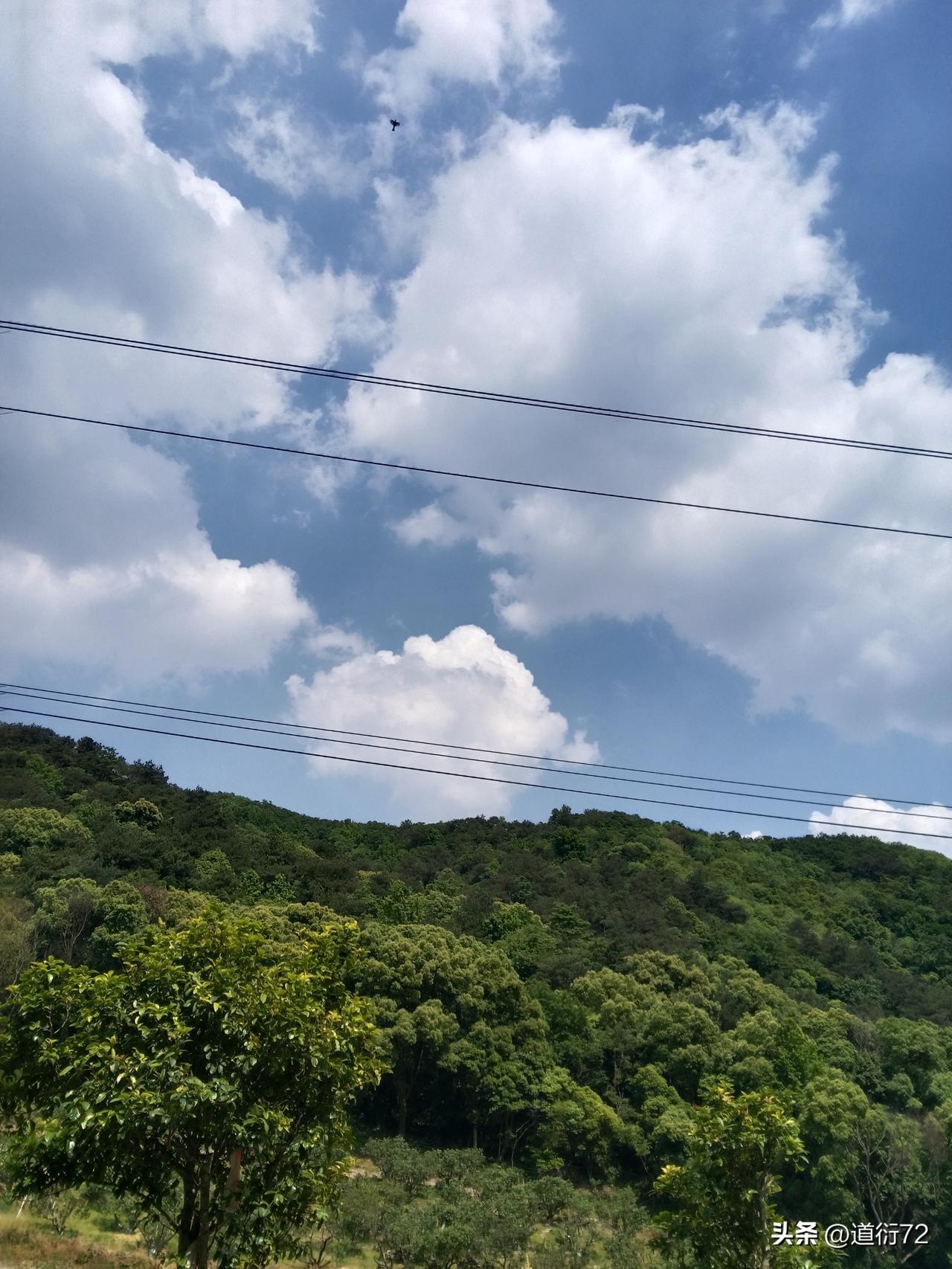 据说，有位风水算命的高手走在沛县的大街上，望着来来往往的小商小贩、车夫苦力，不禁