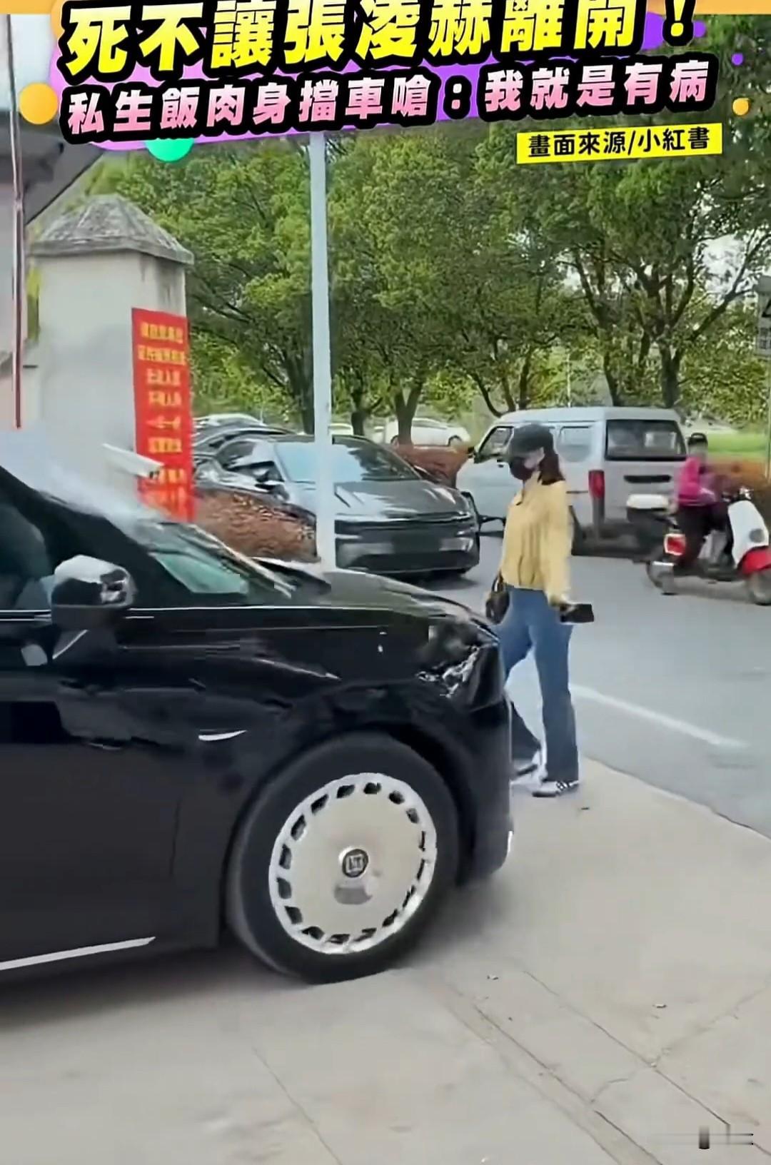张凌赫粉丝太疯狂，用肉身挡车，死不让张凌赫离开[笑哭][笑哭][笑哭]粉丝上去把