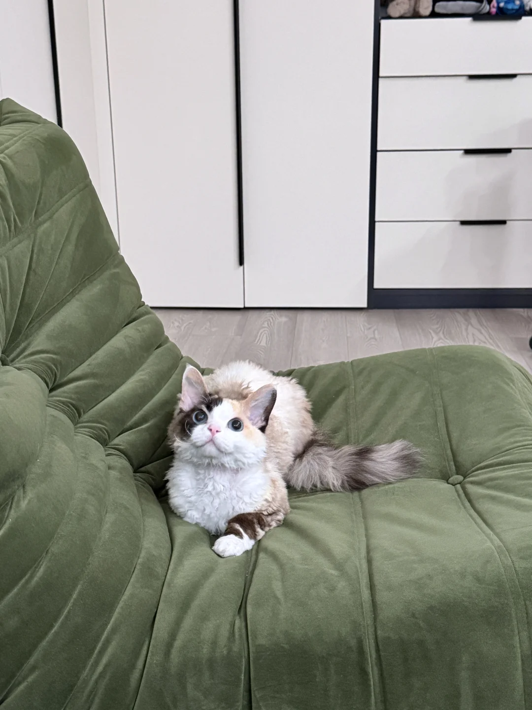 迷人🍃