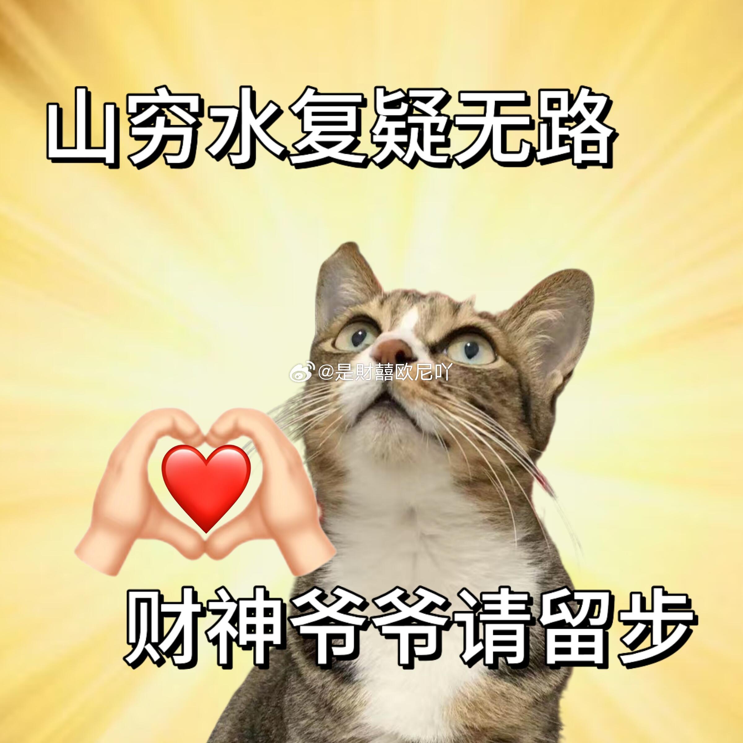 还有两个交易日，让我平稳度过吧！ 