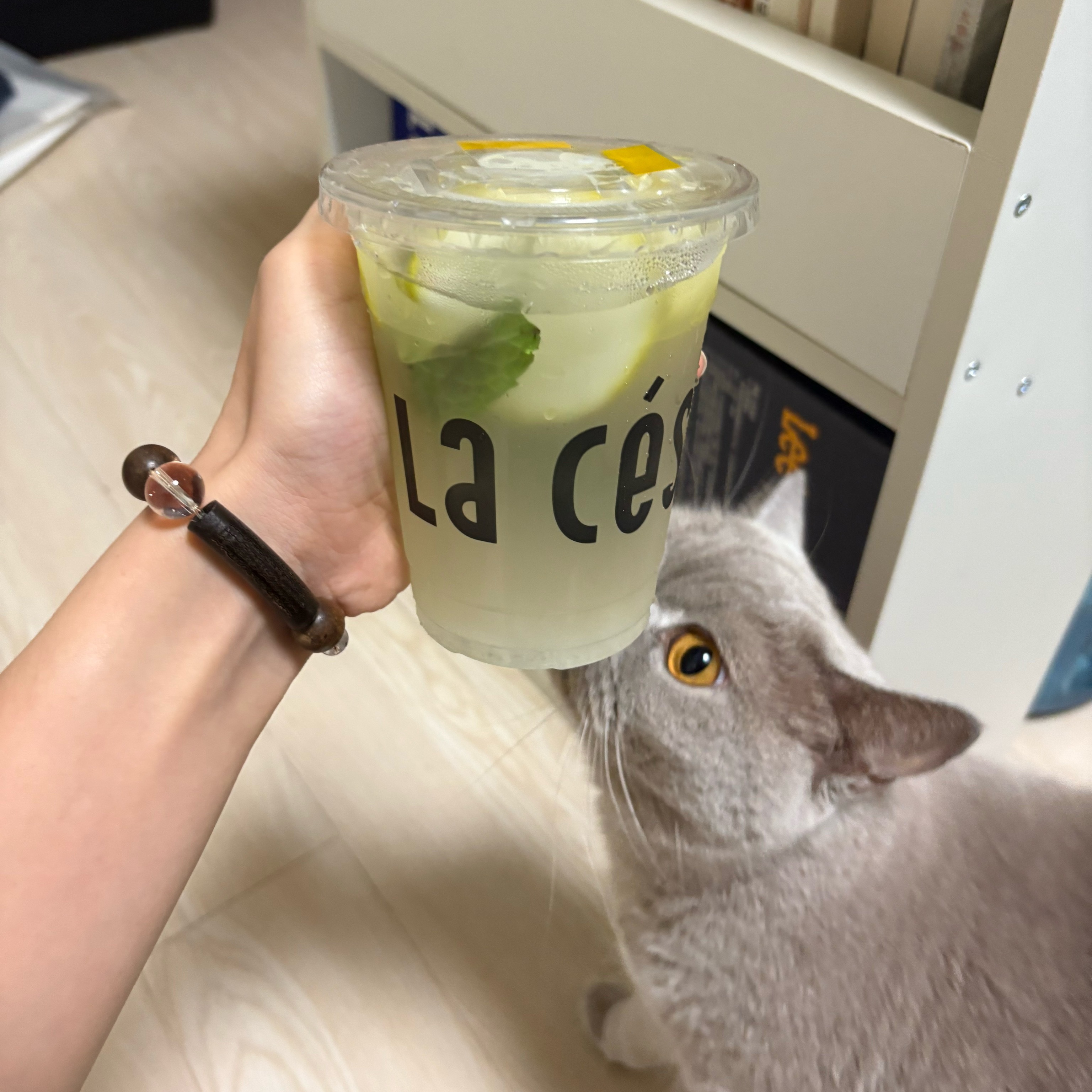·🎶🎧 Girls·其实我挺喜欢这个封面 😆 最近被制裁了 ·老肯的咖啡依