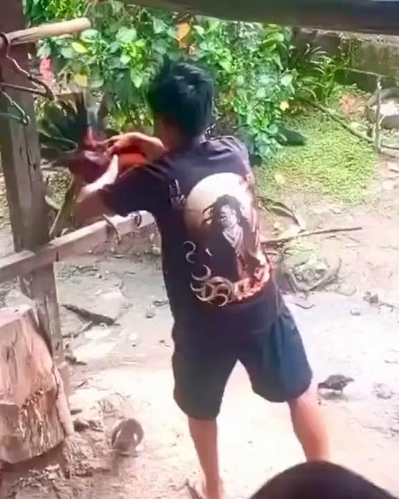 这波操作都看傻了。