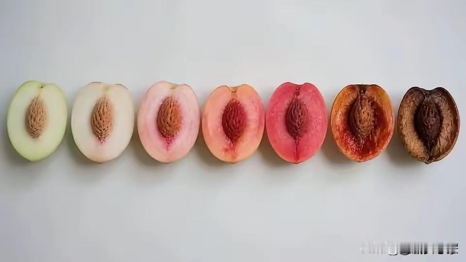 人到中年，就像这口刚好熟透的桃子
 
刷到这张桃子的切面图，一下子就看明白了人生