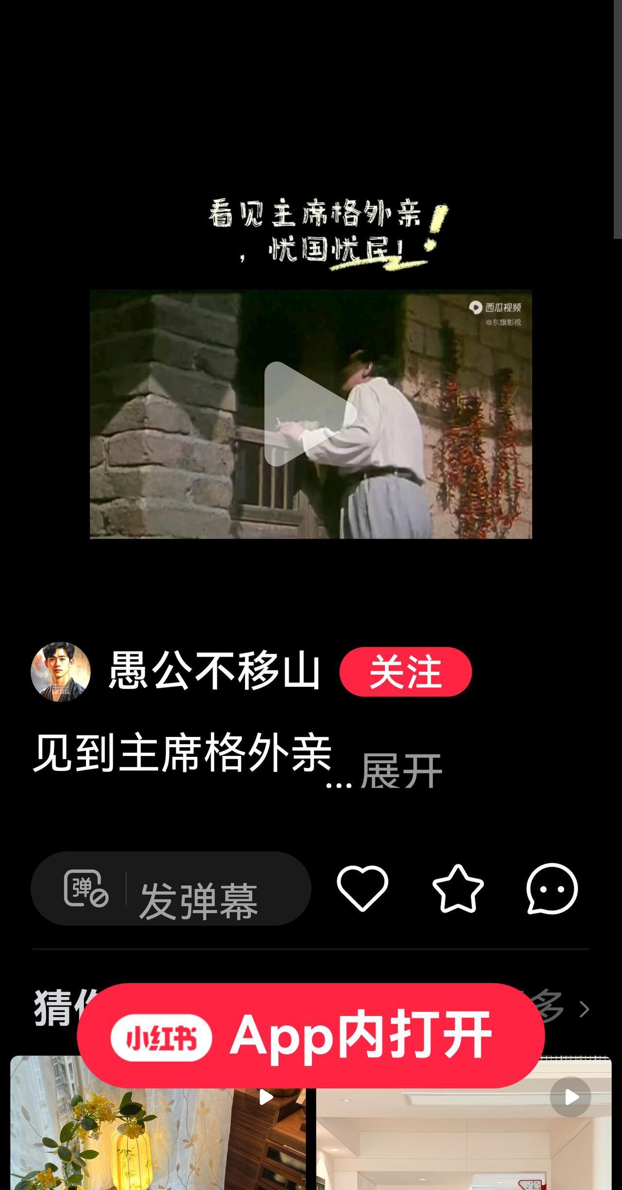 见到毛主席格外亲