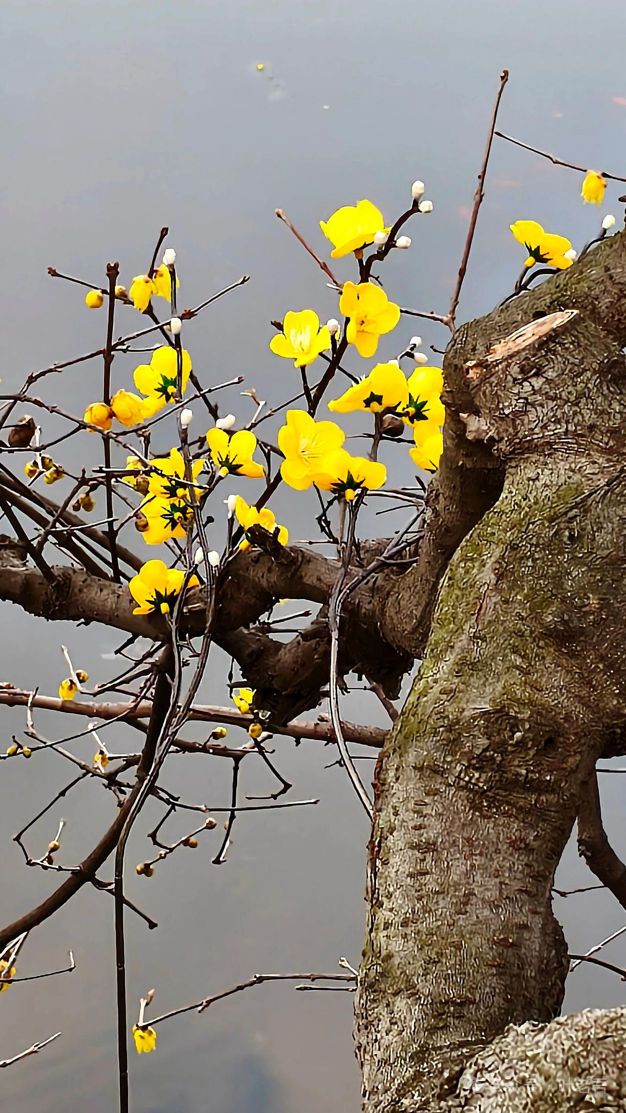 被社会淘汰的6个表现：
1、没人请吃饭
2、电话很少响
3、逢年过节不会收到节日