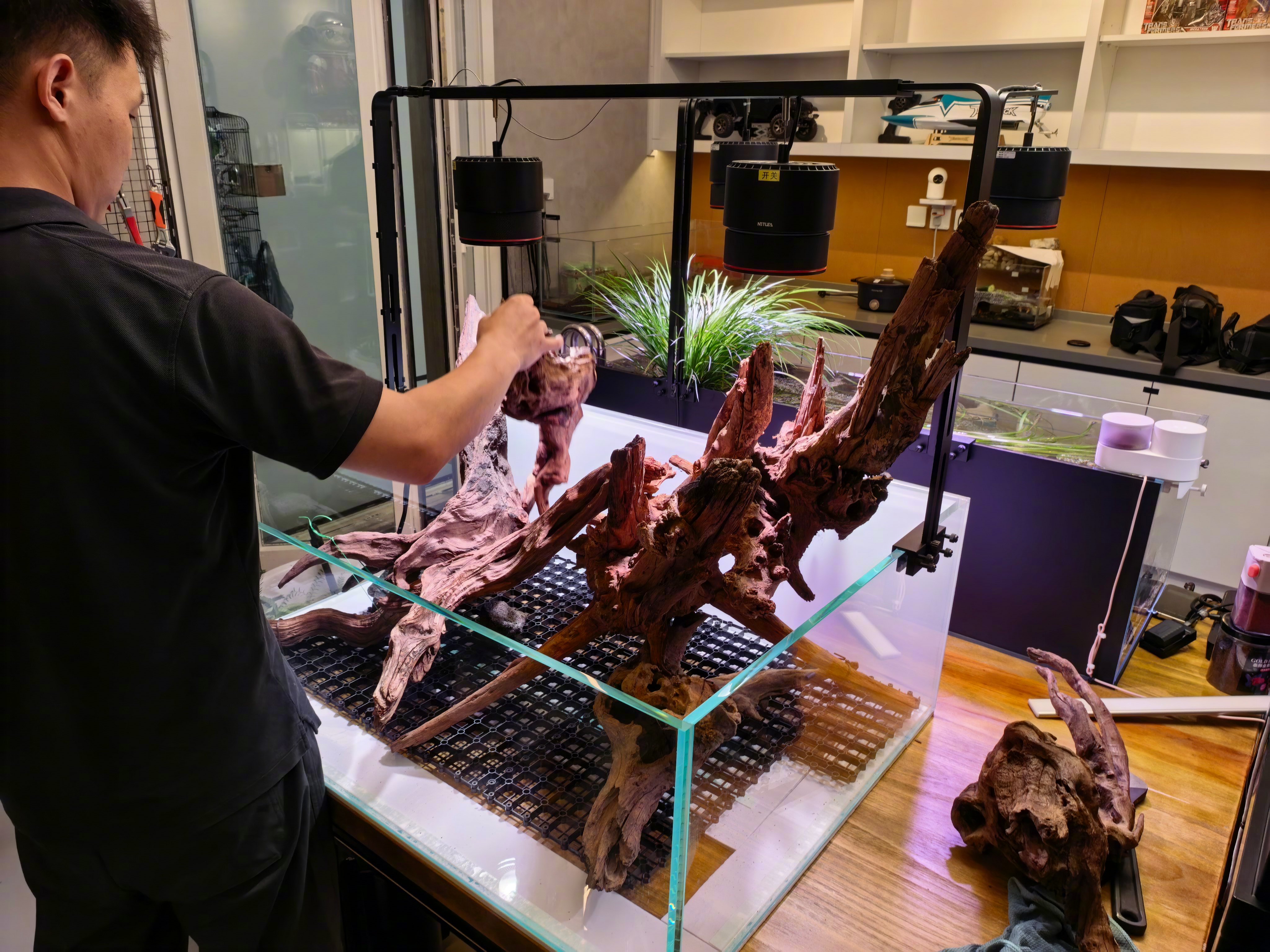 之前图1我这水陆缸，虽然不错，但因为缸太小，外加水陆缸只能加一半水，导致水体总容