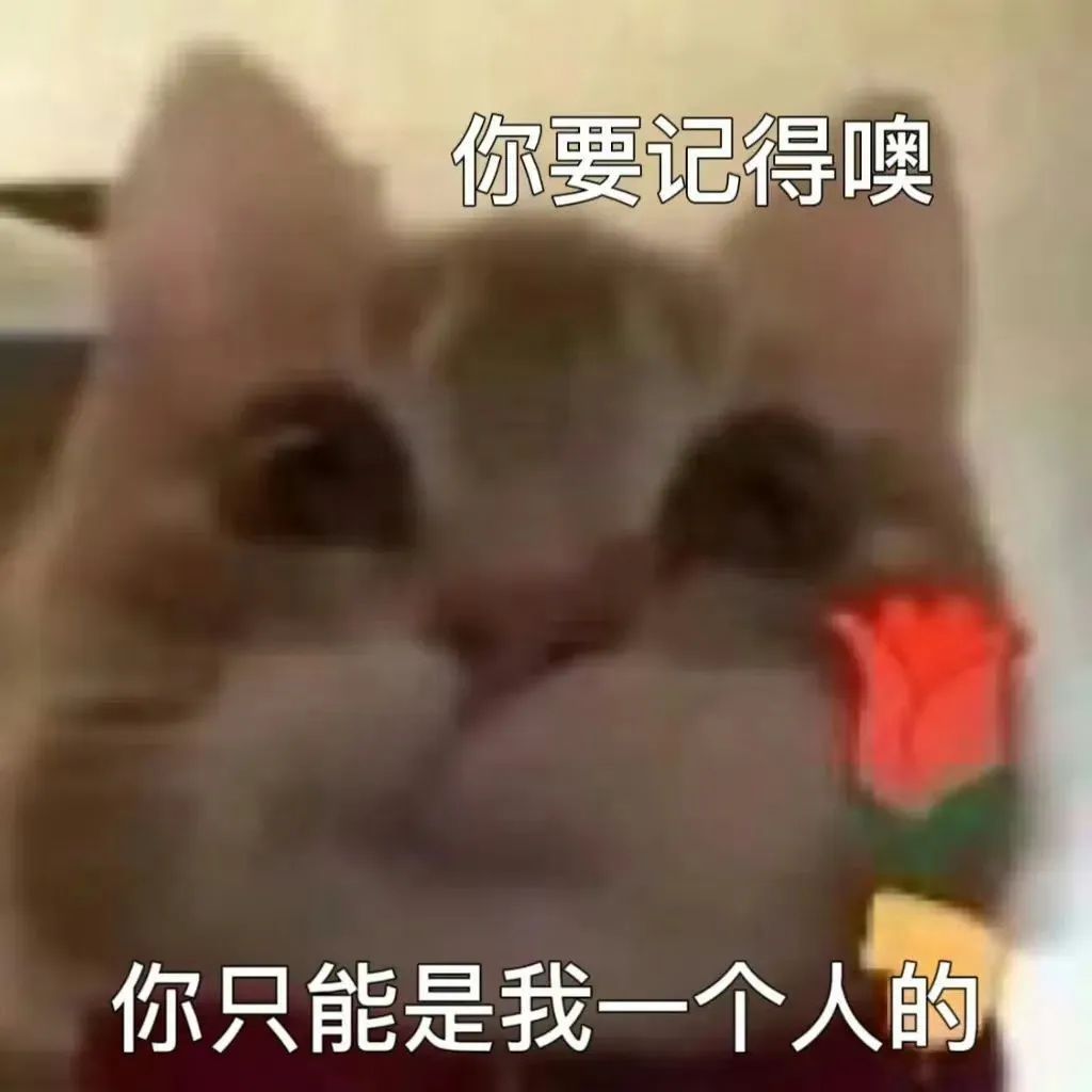 领取表情包，让聊天更有趣！ 更新不易，拿图点赞[心]更多表情包请看主页[心] ​