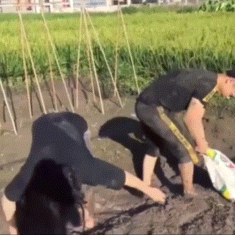 整蛊有什么需要注意的？  注意提高抗揍能力 