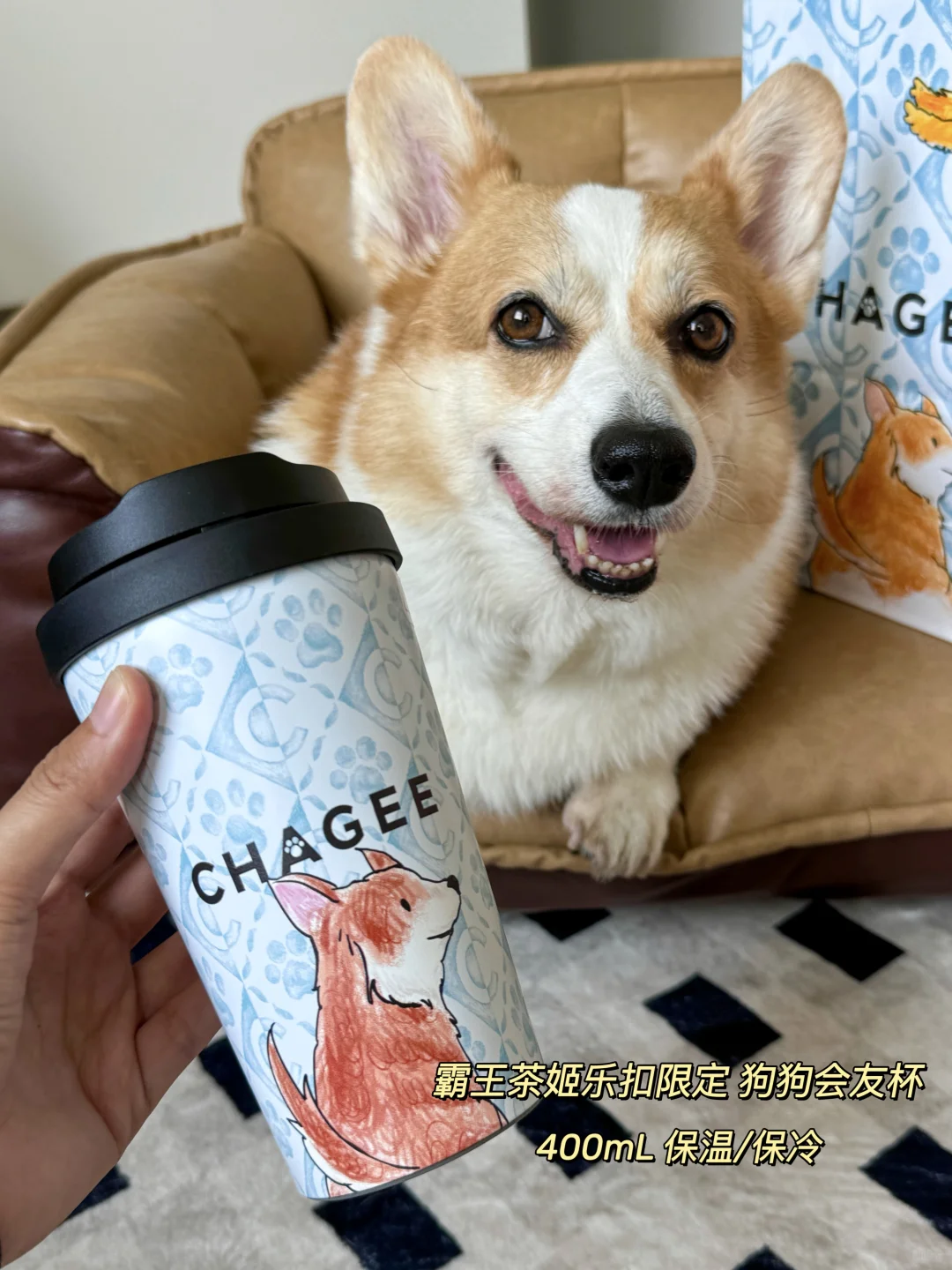 是谁家小狗还没有拥有姬姐的保温杯！