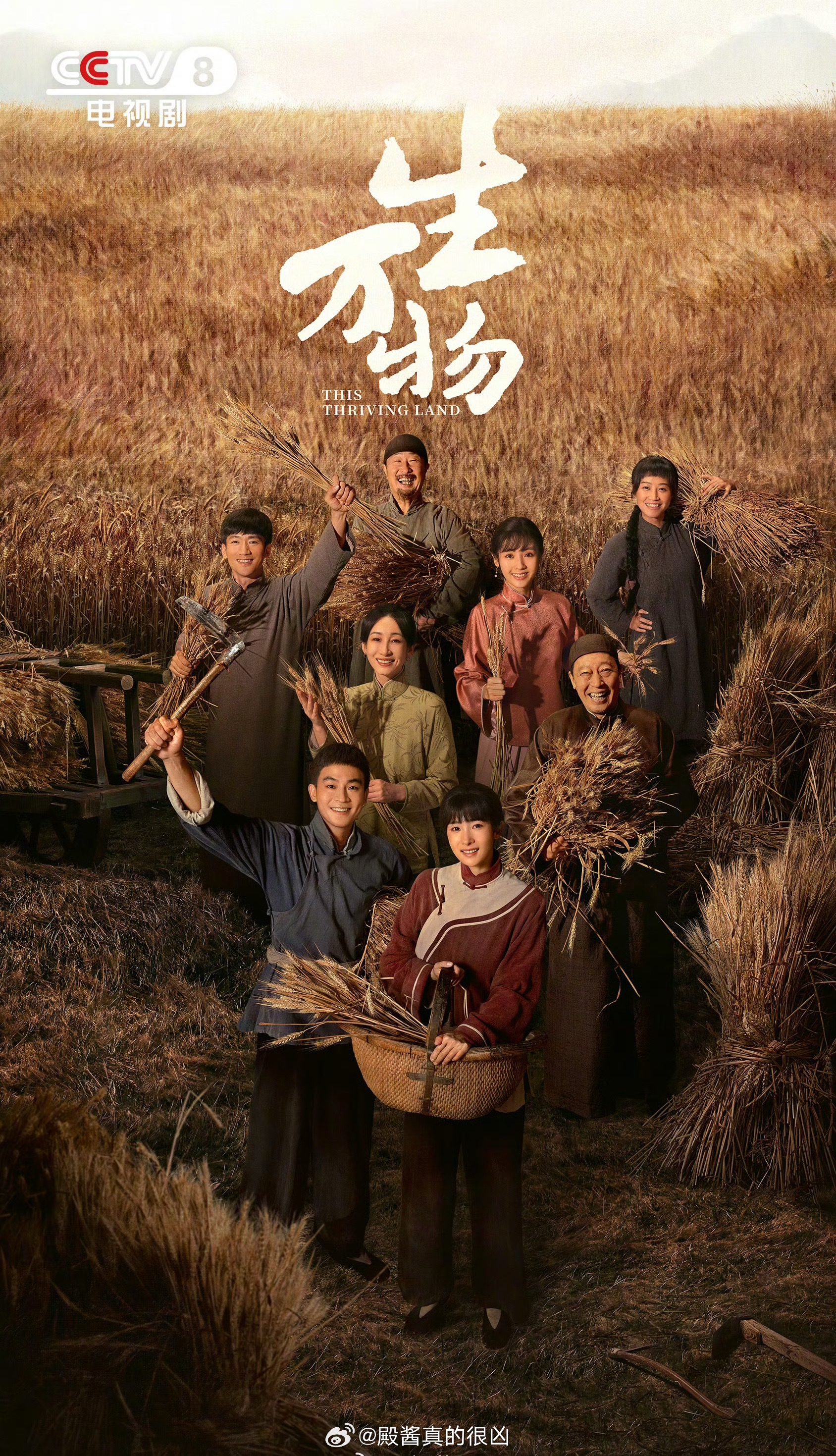 最佳改编编剧： 王贺（《生万物》）第31届白玉兰奖获奖名单白玉兰内场