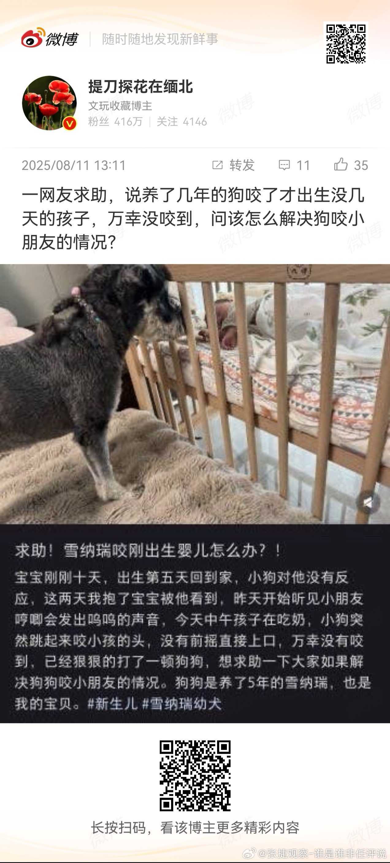 #张捷杂谈# 以前此类情况是恶犬直接打死吃肉，让其它狗看着也吃一口，让它们再也不