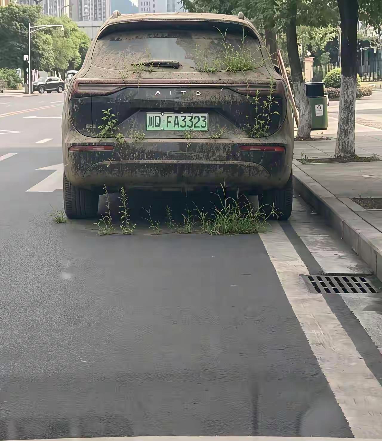 有钱人都这么豪横？