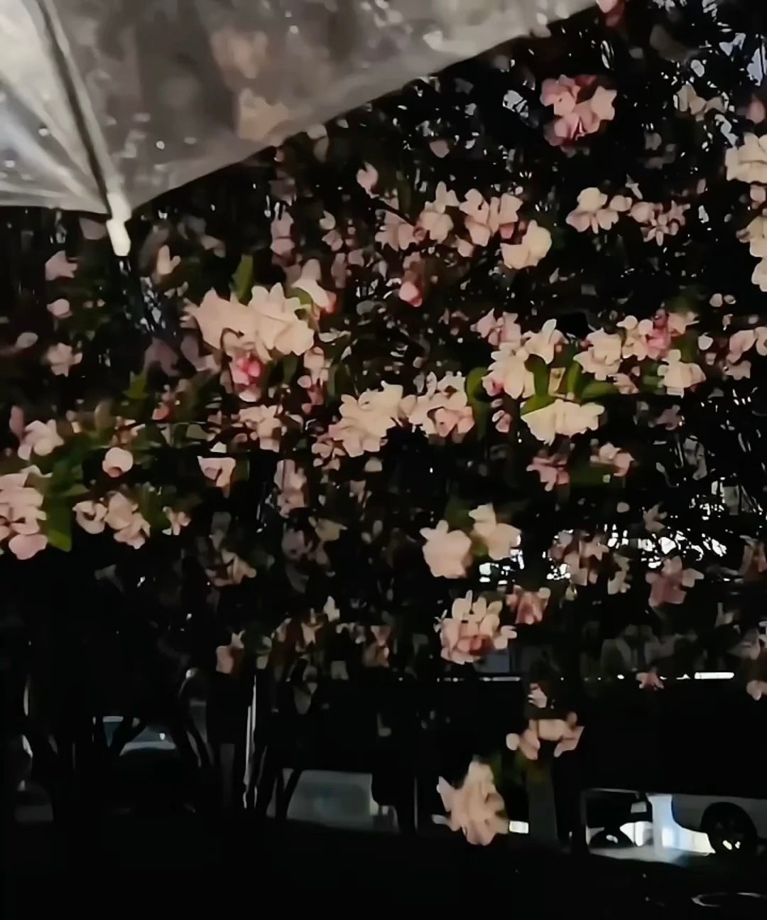 ☀️阳光信用 ☀️每日一善 时光如水，岁月如歌，在有限的时间里，做一个好人，一个