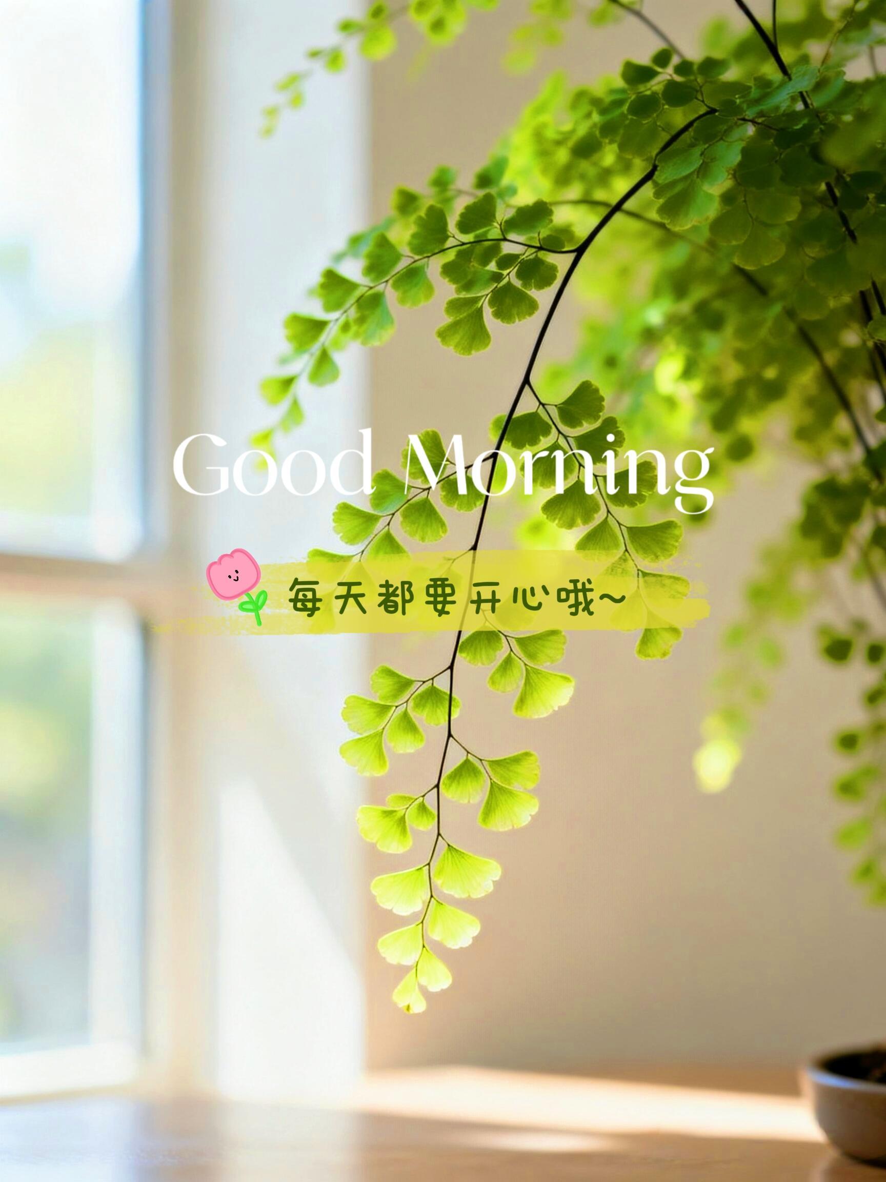 ❤️₂₀₂₆.₀₈.₂₆☼ 季节更替，愿我们被温柔以待，所有努力，终将迎来好结果