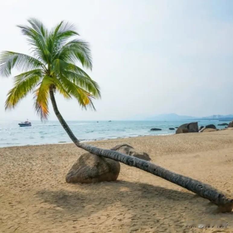 在农村，蛇是真的不能打吗？

有一年我三叔家做房子，他家房子盖好后，三叔自己在家