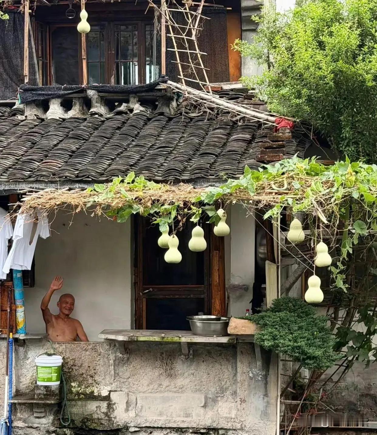 葫芦娃爷爷爆火：别把善意变成骚扰！

7个青葫芦把75岁的陈金敖爷爷推到了流量风