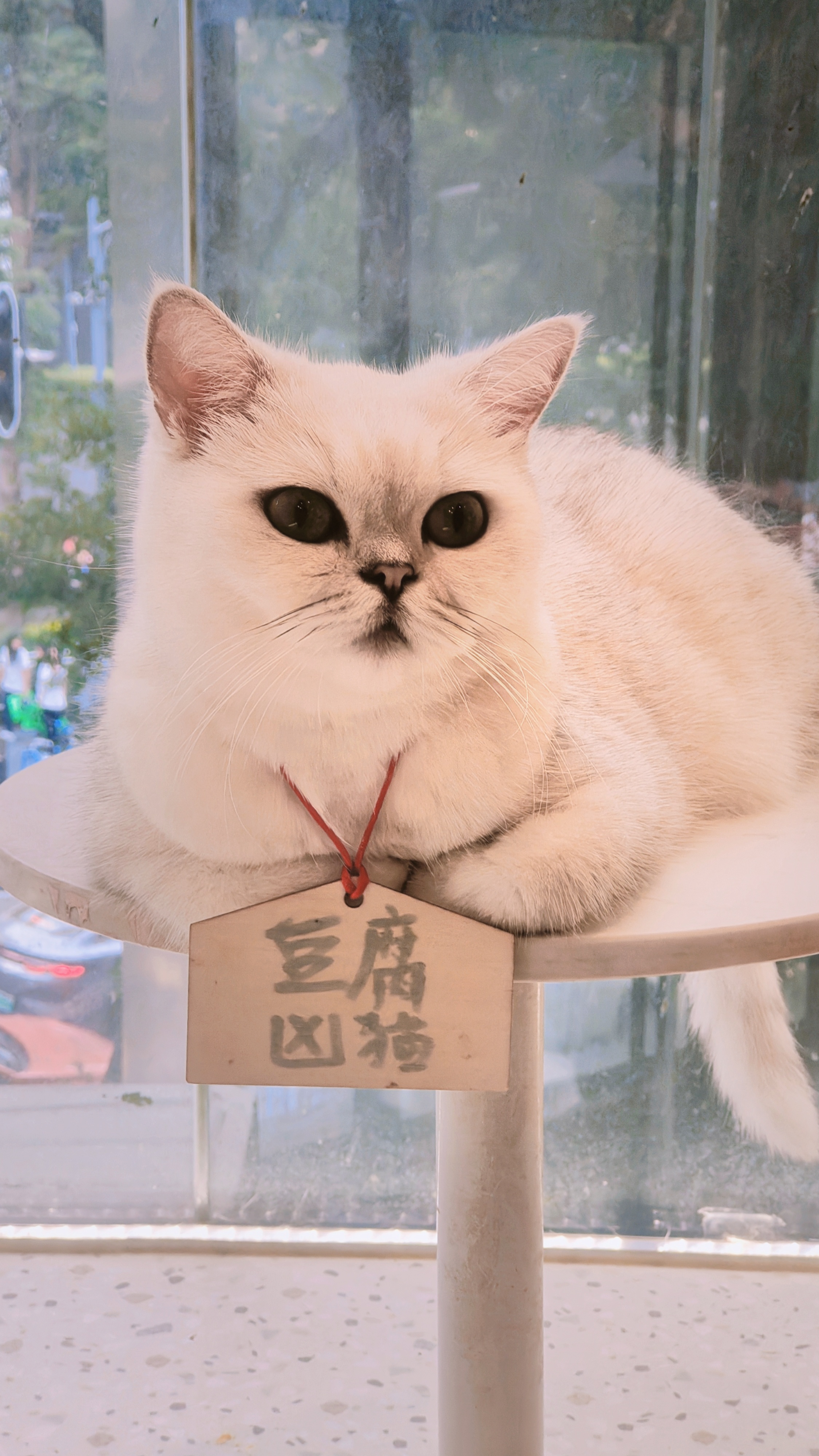 今天和我晓儿美美地吃了[awsl][awsl][awsl] ​​​
