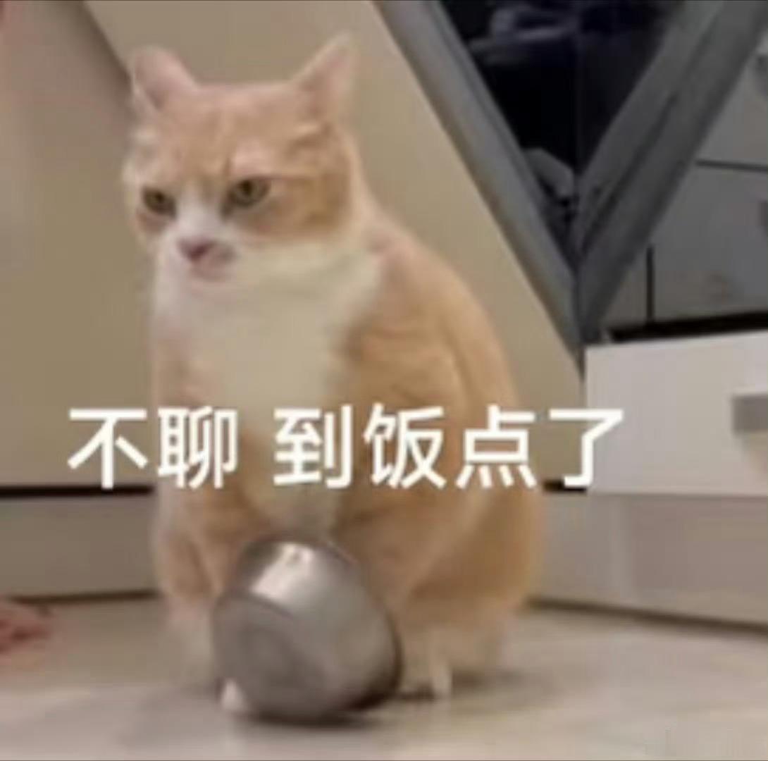 认真干饭时间！宝子萌晚上吃的啥？
