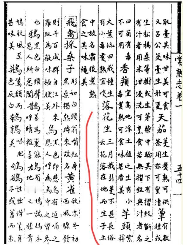 老伯解物｜花生的名字可能源于几百年前一位脚不沾泥的文人的错误脑补
昨晚吃几颗生花