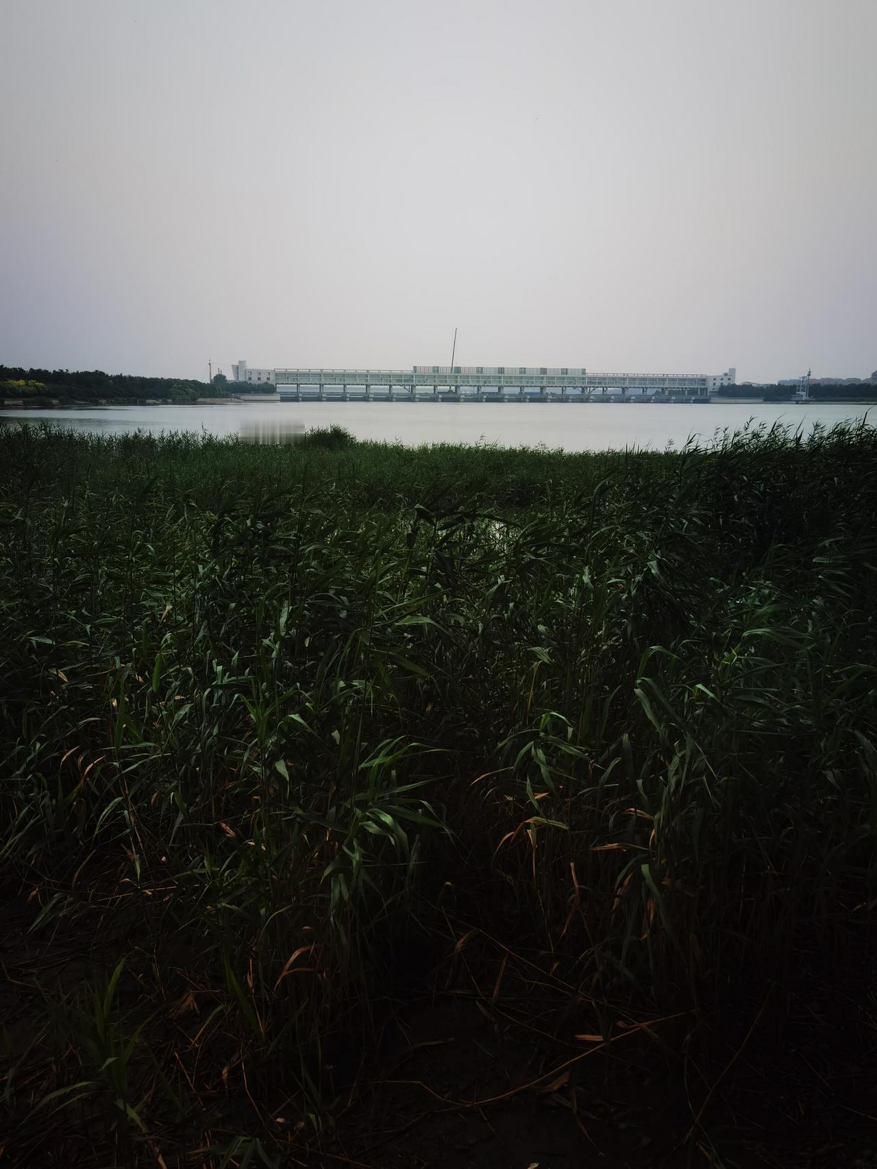 到彩虹桥下面看看，还是比较凉快的