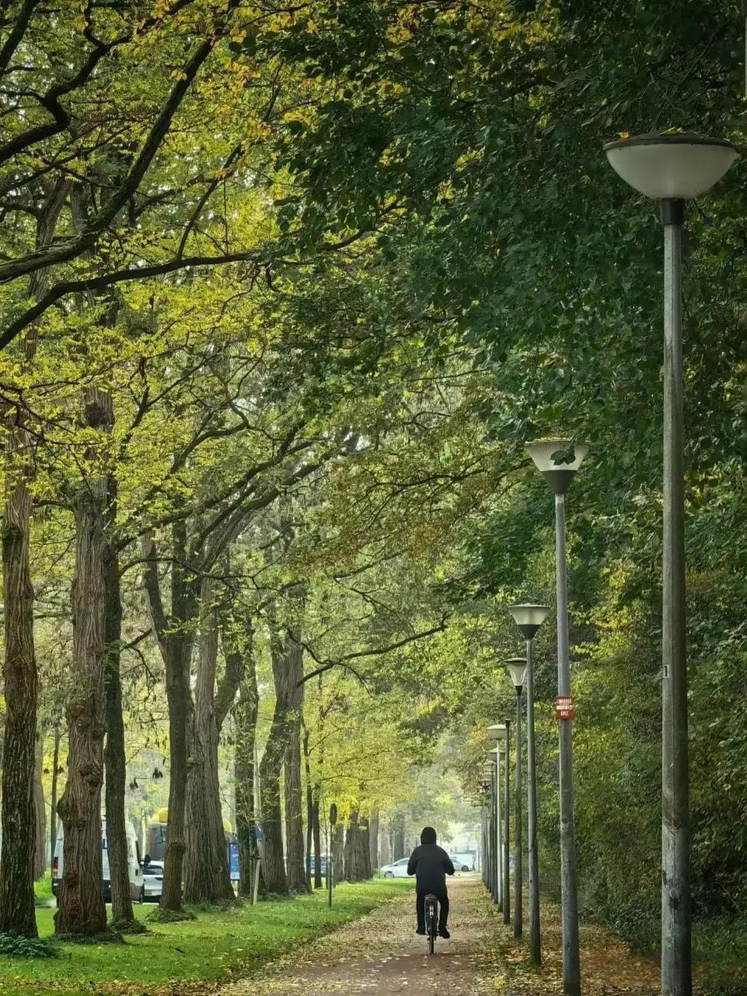 我真是越想越纳闷！我老公开的那破厂子，总共就 5 个人，在昆明一个老旧工业区里，