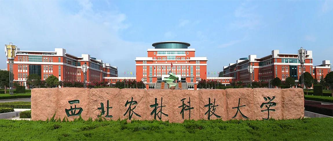 低分也能捡漏的 985｜别只盯着清北，这几所才是性价比之王
别被 “985 = 