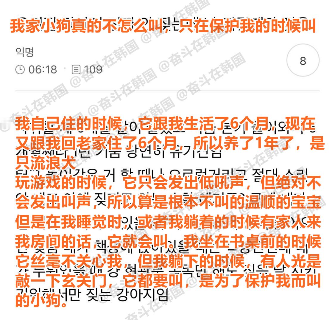 我家小狗真不怎么叫，但一到要保护我的时候就会叫 