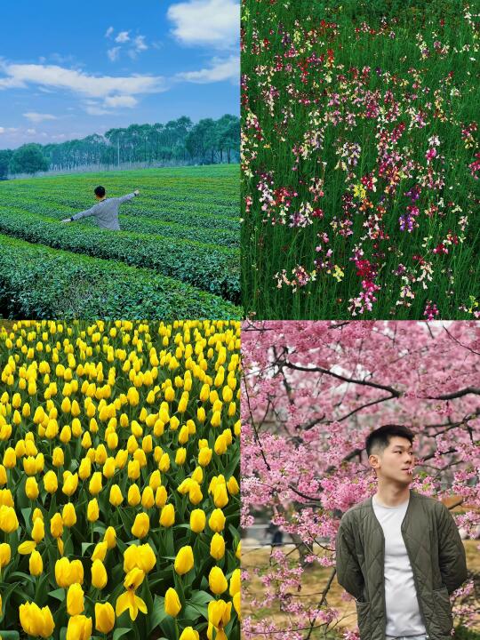 南昌三月限定粉色海洋🌸错过再等1️⃣年