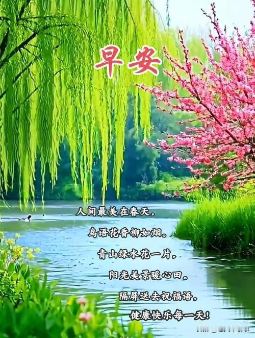 睁开眼
先做该做的
用了半个小时
完成了今天的工作

再做想做的
现在盘腿坐在沙