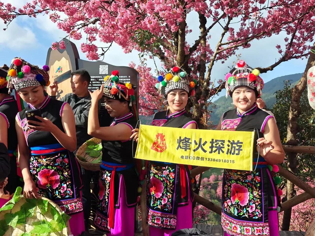 骊山旅友快乐行……大理无量山！
  花开了，等你来，
大理无量山樱花谷，
骊山驴