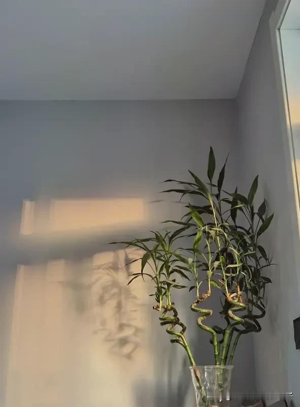 想对生活充满热爱，其实不难。生活的美好藏在日常点滴里。晨起别匆忙，伸个懒腰，拉开