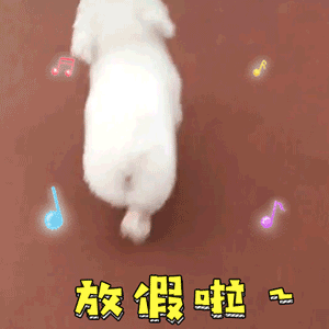 高考完的第一个晚上真的会很幸福 刚高考完的学生们都是几几年的完蛋了我真是年纪大了