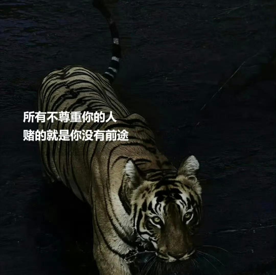 赌的是你没有前途。。。。 