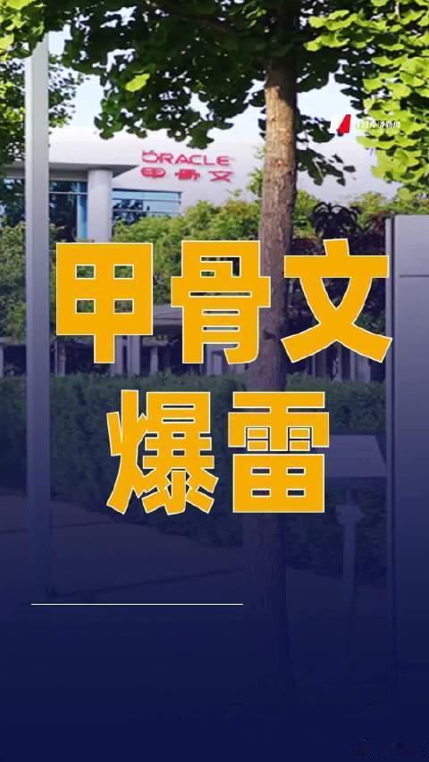 美国科技巨头甲骨文爆雷 据路透社援引知情人士报道，甲骨文已向Blue Owl旗下