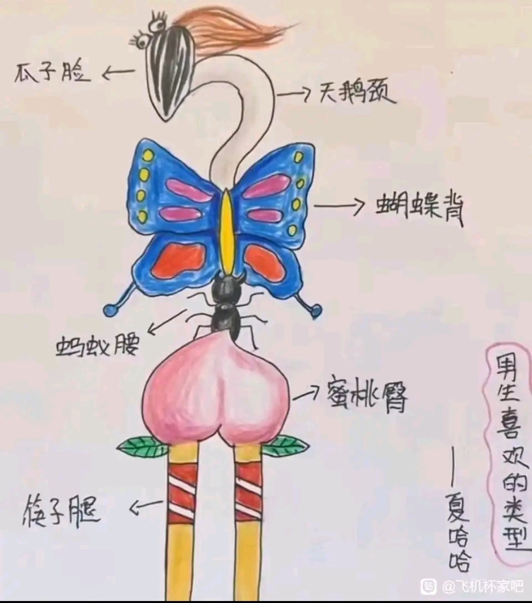 啥，你们喜欢这样的？？还带翅膀的，不会是小仙女把 