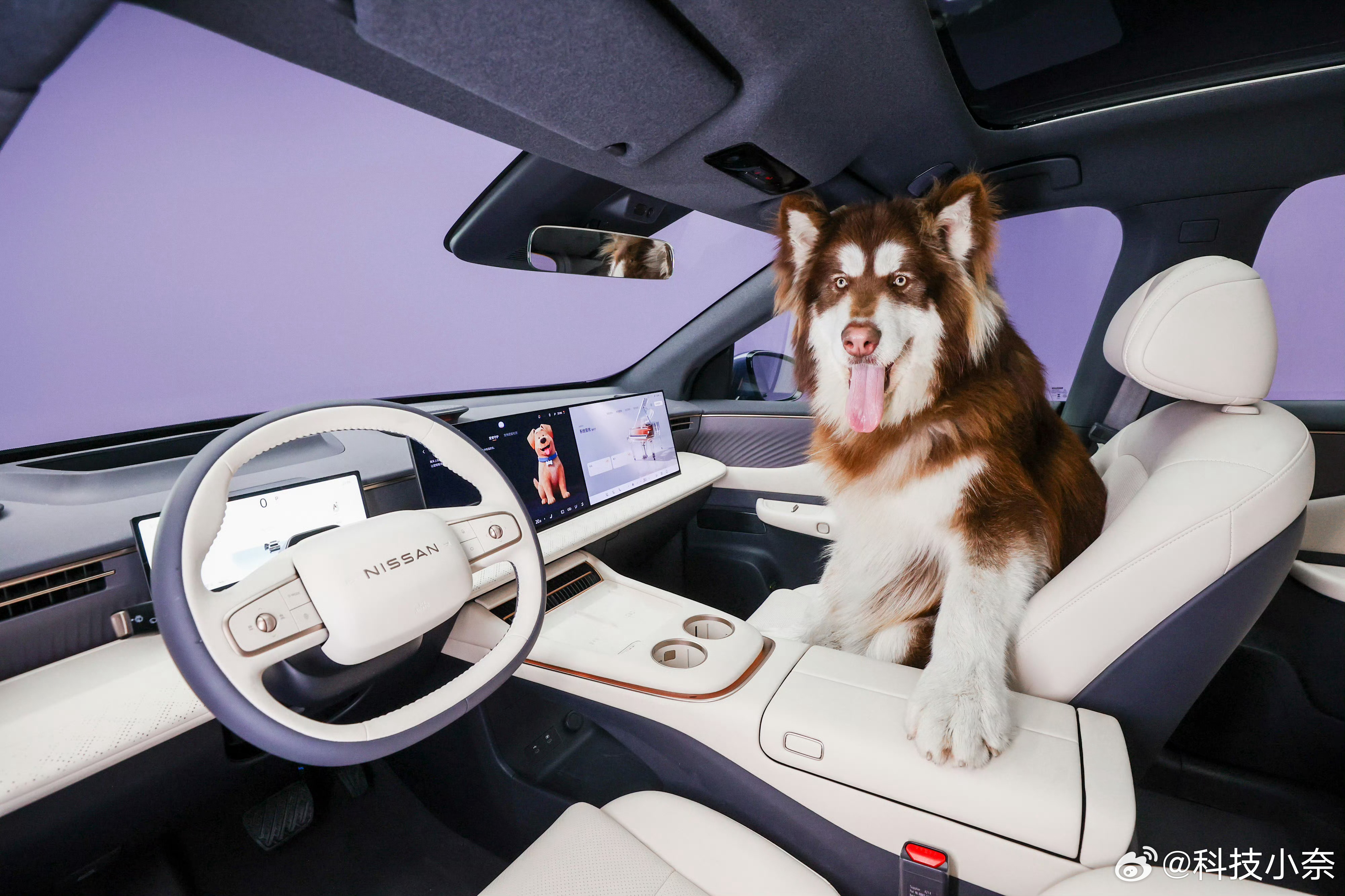 3.20日东风日产NX8技术暨预售发布会：东风日产NX8大大大五座SUV预售基于