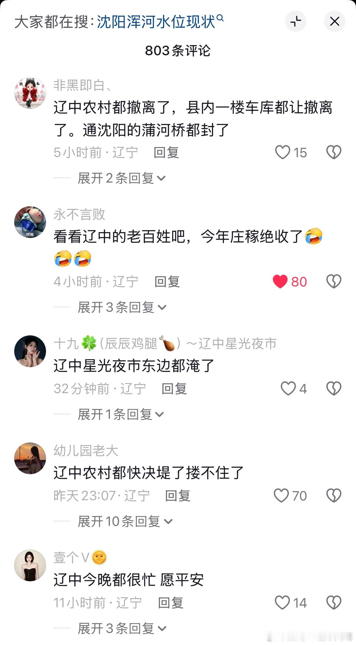 辽宁抗洪 沈阳市辽中县很多人反映辽中情势依然很危急。沈阳