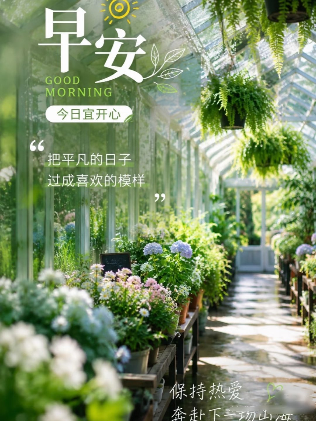🐦🔥🎍²º²⁶/₀₆.₁₆ ღº ✐ 🔆 ᴹᴼᴿᴺᴵᴺᴳ🪷晨光从不迟到