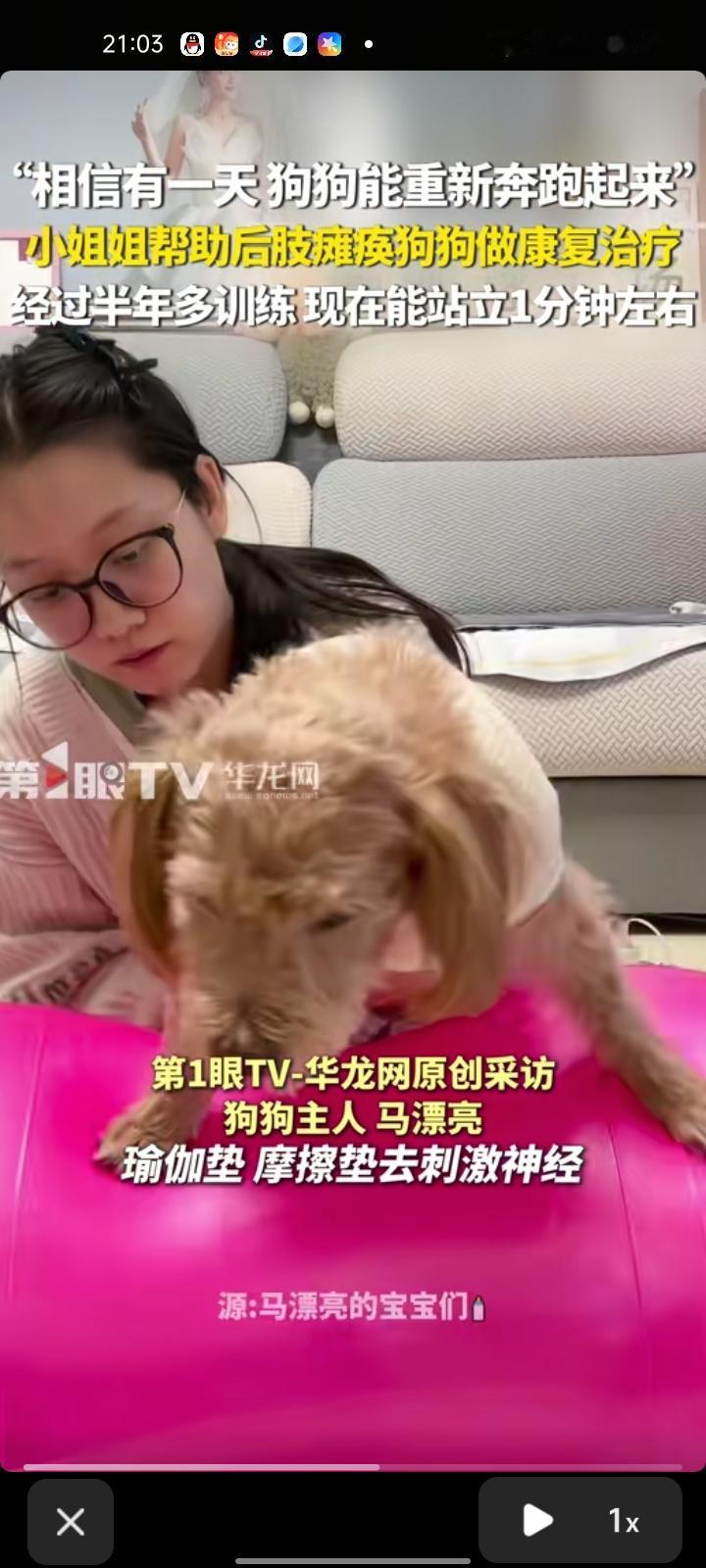 4月14日，运城市垣曲县。狗主人马女士称，狗子是先天性骨头发育不良，因活蹦乱跳导