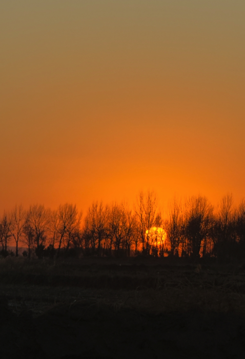 小时候，一到二月二，我妈是一定会做猪蹄子和猪头肉的，感觉进了腊月和正月，每个节日
