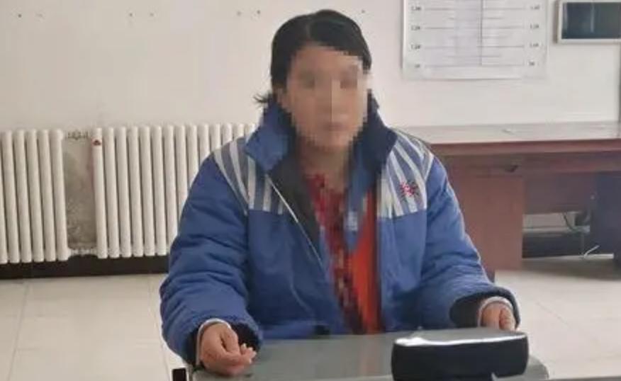  #网红张美丽涉寻衅滋事罪被捕# 辱母走红，装疯卖傻，该抓！
 
低俗直播如今也