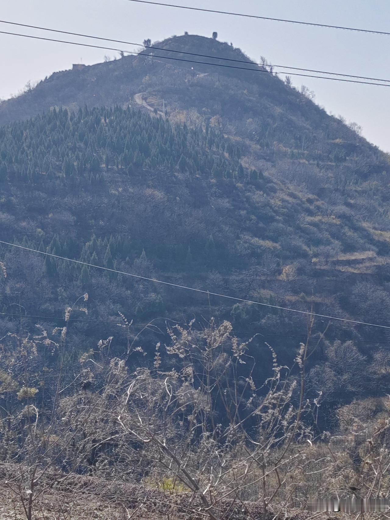 山巅的旧痕
 
初冬的风裹着干涩的凉意，漫过那座山的褶皱。山不算高，却像被岁月揉