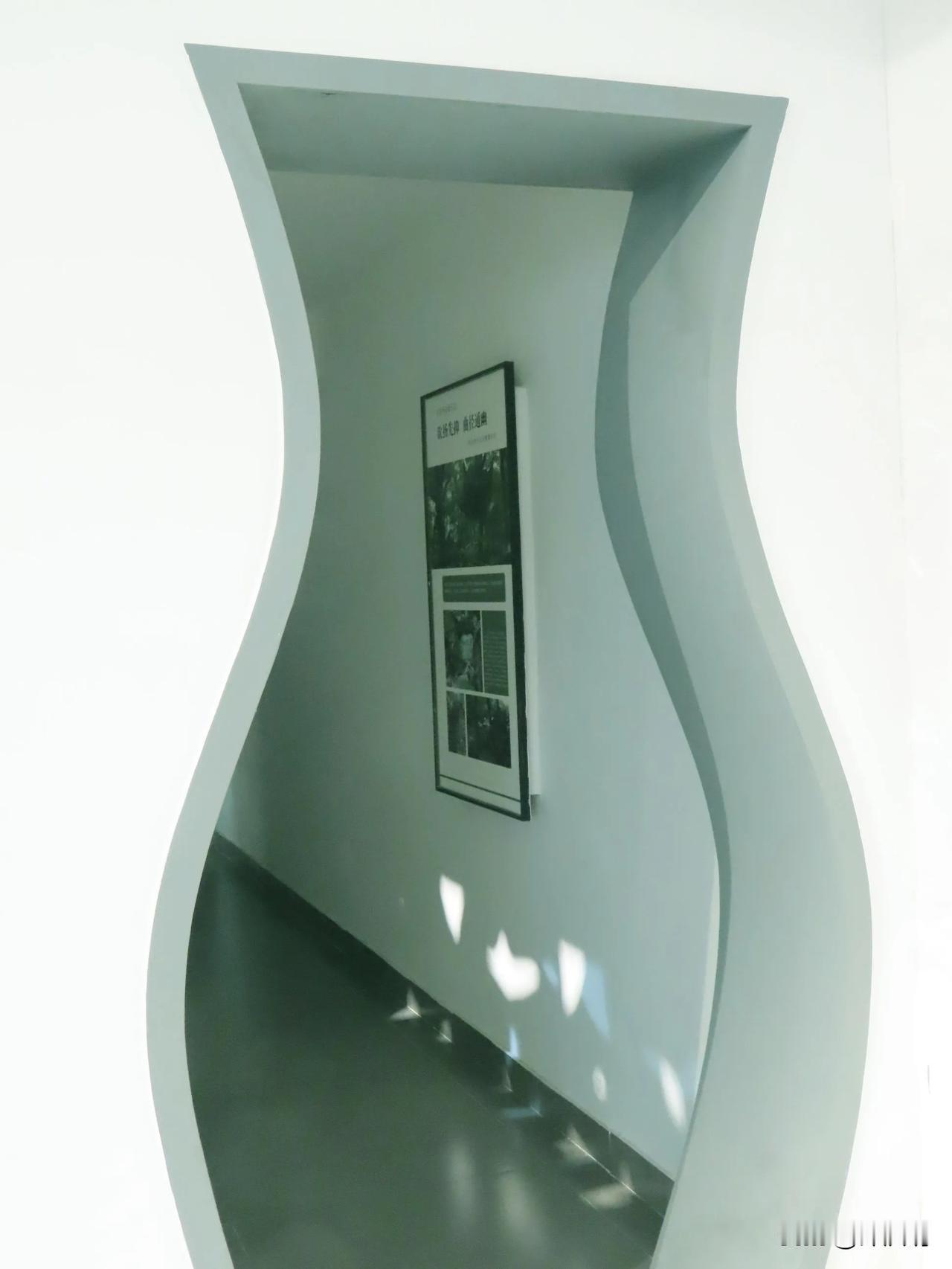 探访宁波园林博物馆，感受园林大师的智慧之光。