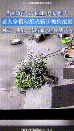 笑死了！面对勇敢的看家犬，从未有过败绩的大妈也只能认输。
一位大妈路过一户人家，