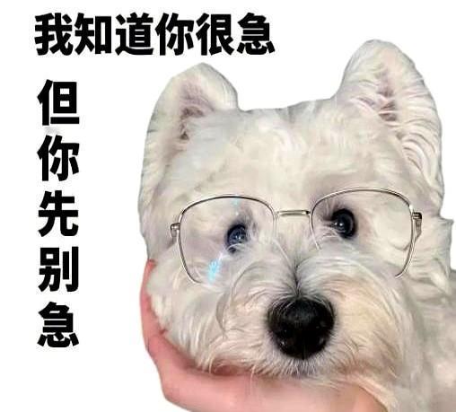 领导在会议室干等，文件还在打印机里打滚。

我蹲在地上抠纸，心里算着：再卡一次，