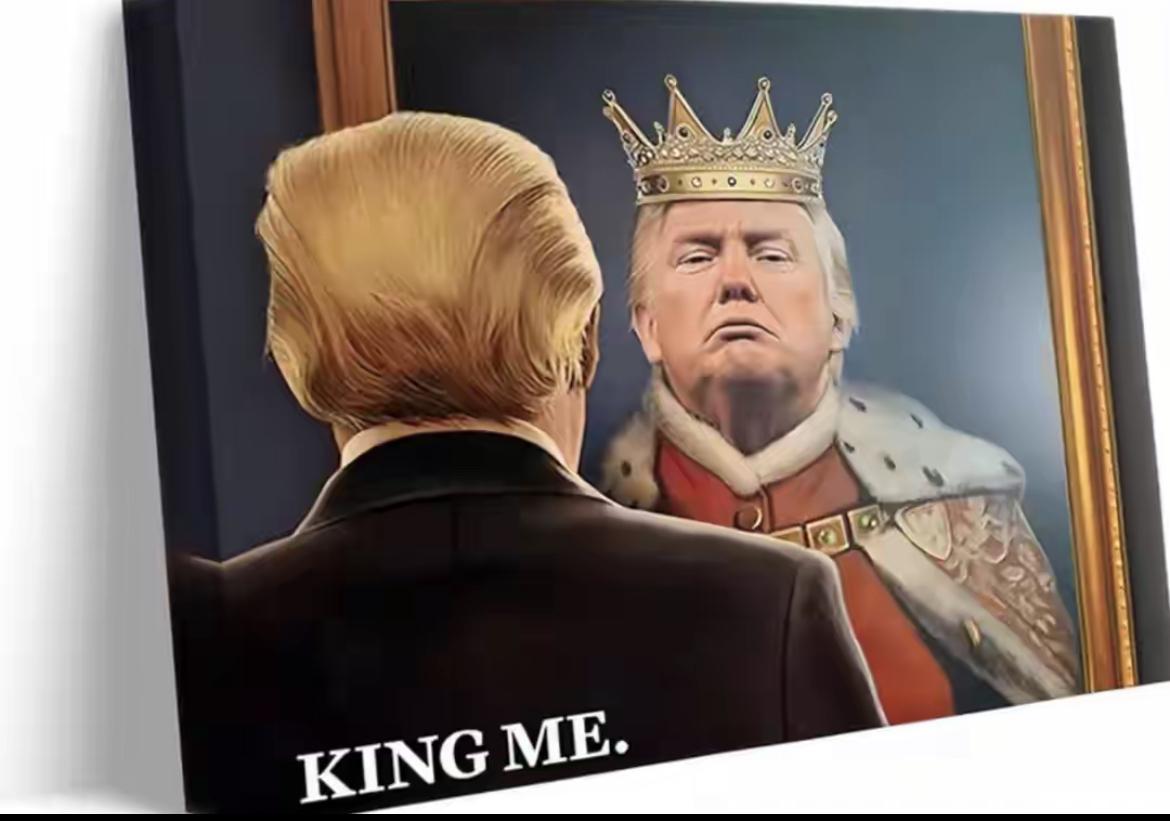 当初把特朗普票投进去的美国老百姓，现在估计肠子都悔青了——这刚过9个月，民主党就