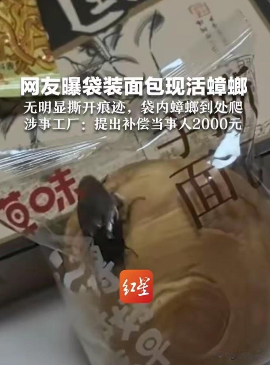 10月25日，网友爆料购买的袋装手撕面包内竟有一只活蟑螂，而且还是大号的，你们有