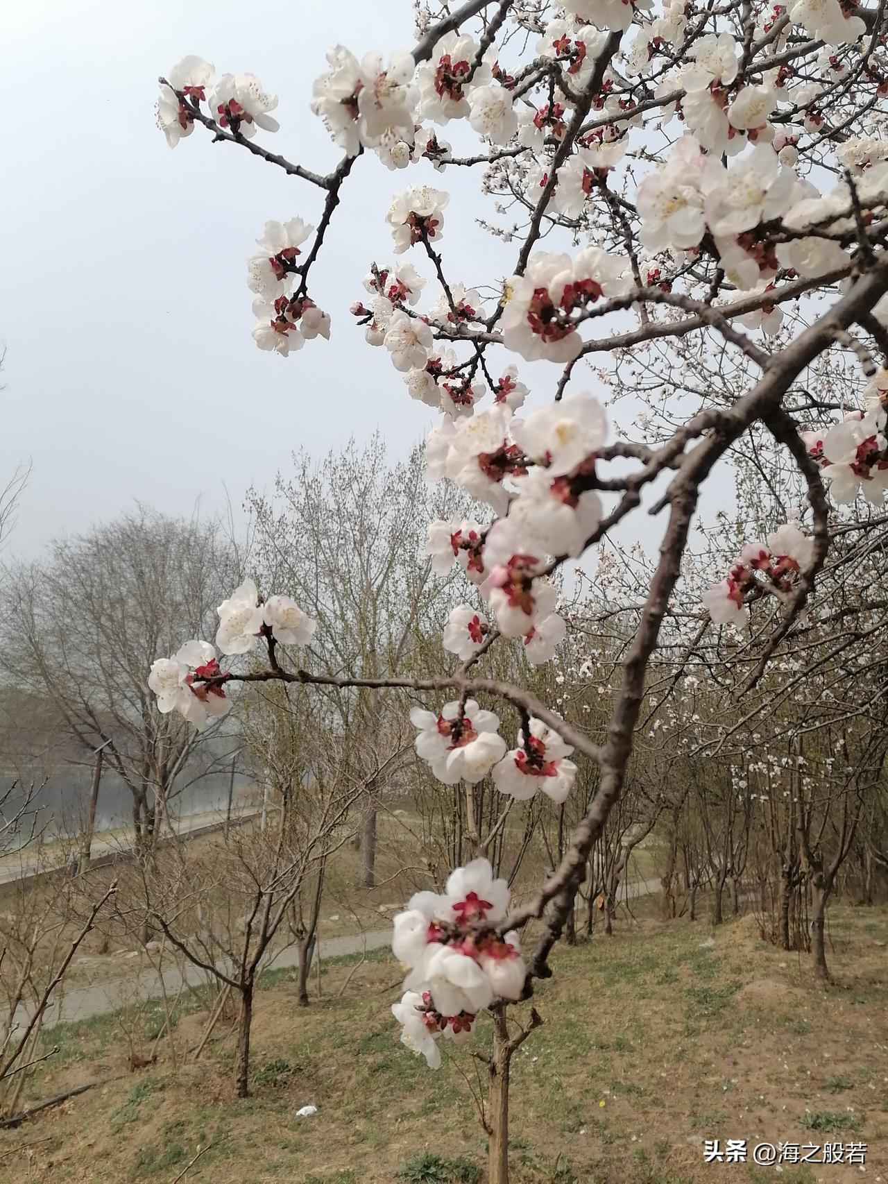 这两天一直都关注张雪峰老师，除了惋惜之外，同时也带给我们很多思考。

人活着就应
